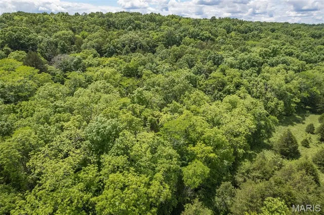 $550,000 | 23201 Private Drive, Duke, MO 65461