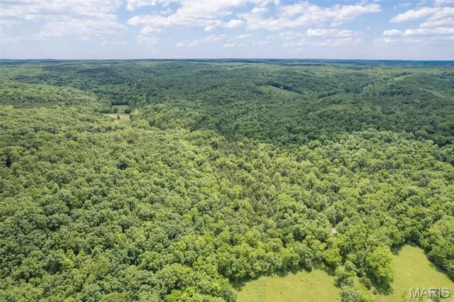 $550,000 | 23201 Private Drive, Duke, MO 65461