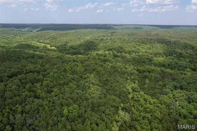 $550,000 | 23201 Private Drive, Duke, MO 65461