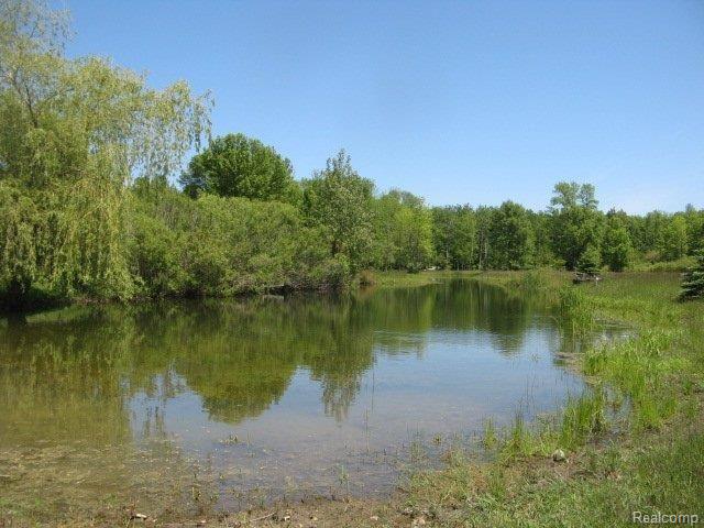 3191 Marsh Road Marlette, MI 48453 - Photo 9 of 9 8 Pond