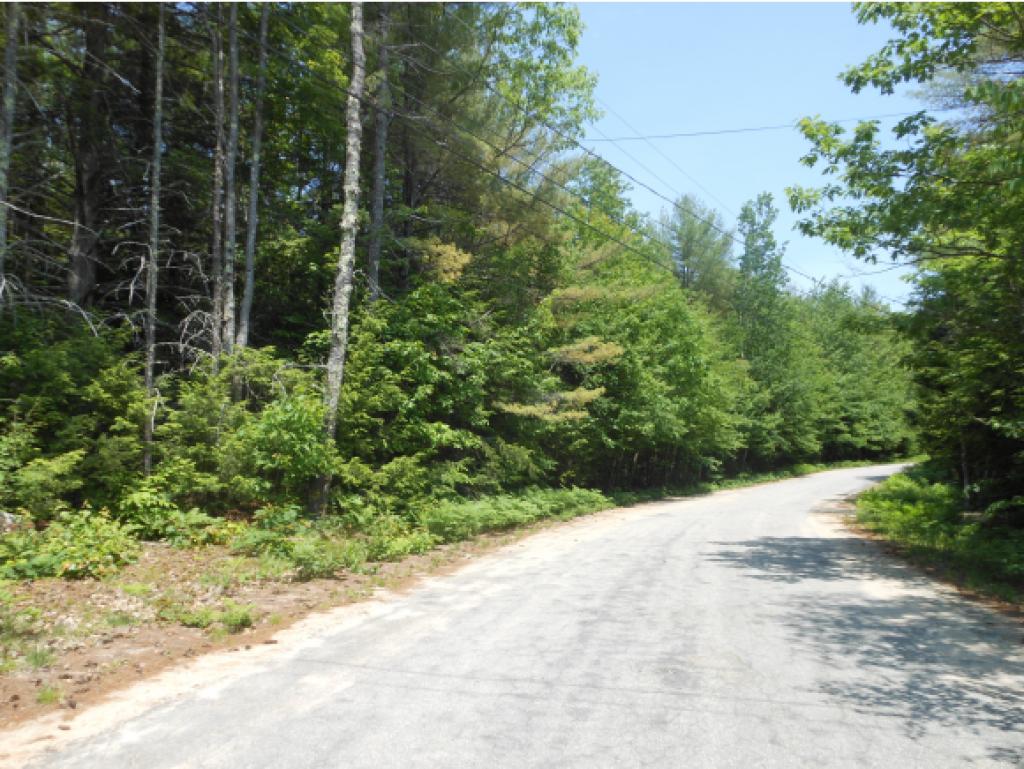 12 Pike Brook Road Brookfield, NH 03872 - Photo 11 of 29