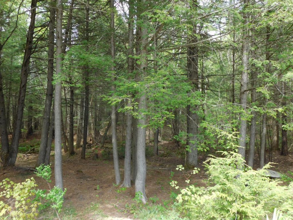 12 Pike Brook Road Brookfield, NH 03872 - Photo 12 of 29