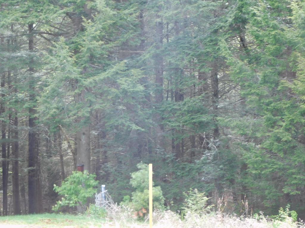 12 Pike Brook Road Brookfield, NH 03872 - Photo 13 of 29