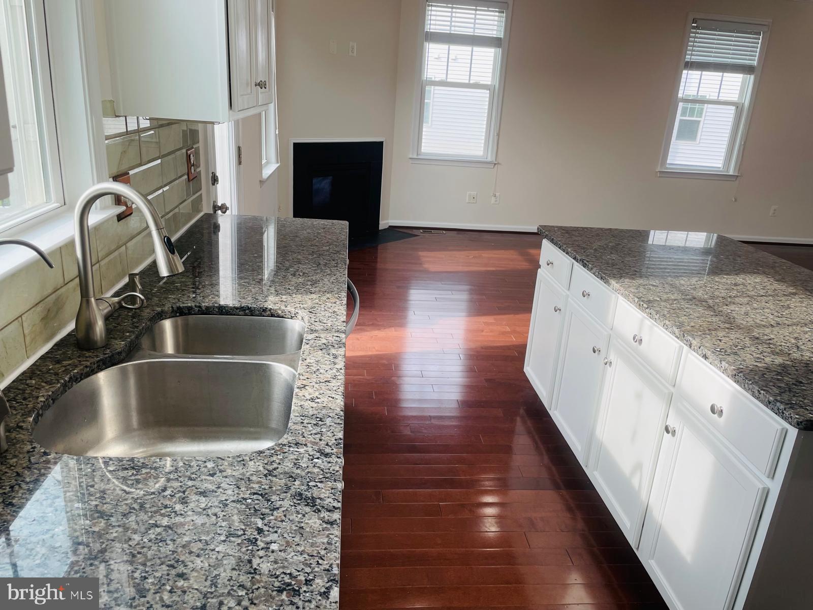 24677 Capecastle Terrace Aldie, VA 20105 - Photo 5 of 33