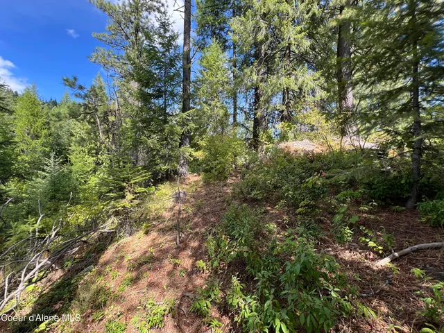 $69,900 | 1425 Upriver View Drive, Fernwood, ID 83830