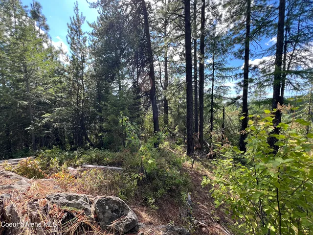 $69,900 | 1425 Upriver View Drive, Fernwood, ID 83830