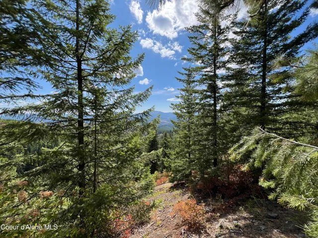 $69,900 | 1425 Upriver View Drive, Fernwood, ID 83830