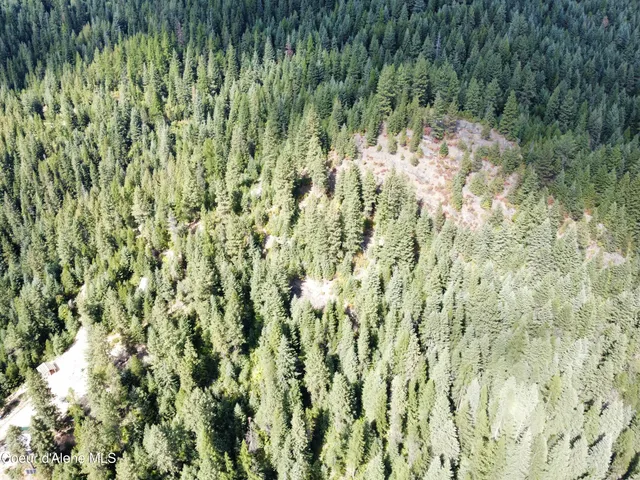 $69,900 | 1425 Upriver View Drive, Fernwood, ID 83830