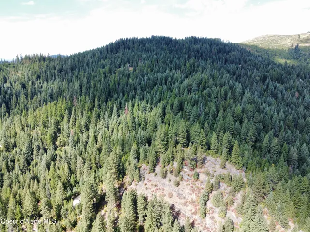 $69,900 | 1425 Upriver View Drive, Fernwood, ID 83830