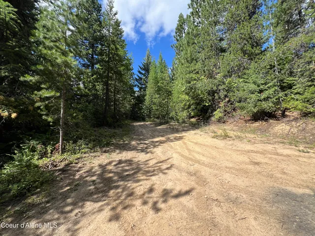 $69,900 | 1425 Upriver View Drive, Fernwood, ID 83830