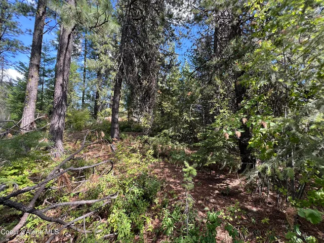 $69,900 | 1425 Upriver View Drive, Fernwood, ID 83830