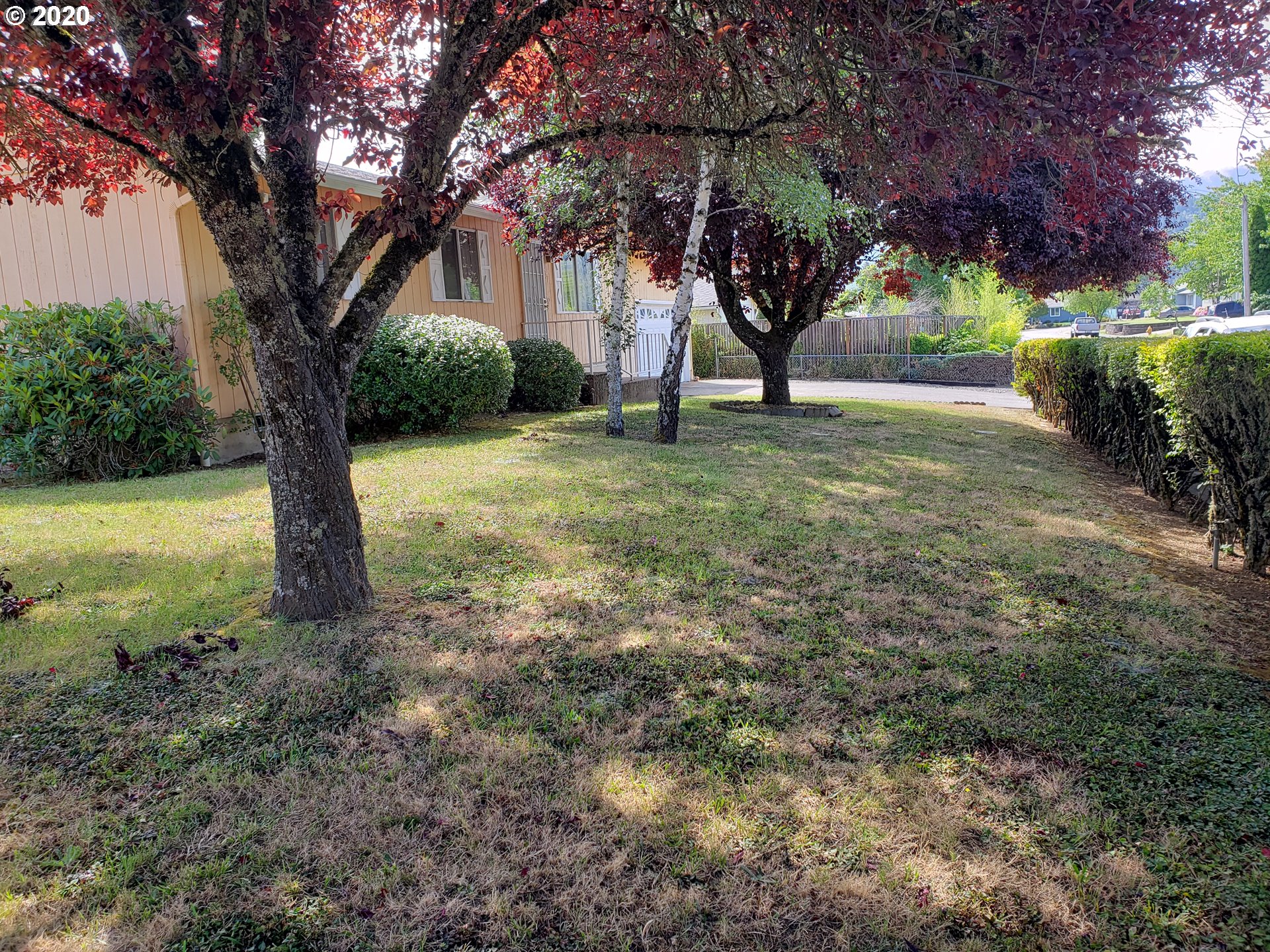 701 Penny Lane Riddle, OR 97469 - Photo 3 of 22