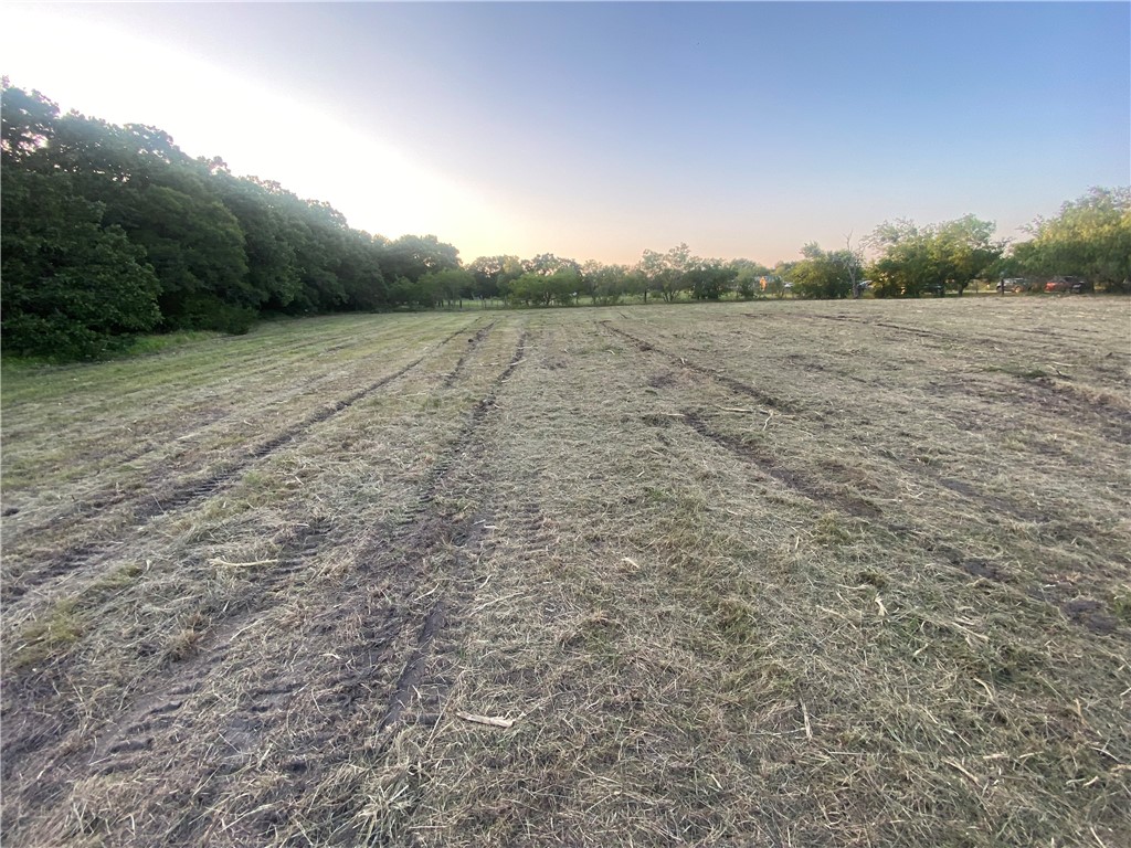 a view of a big yard with trees in the background