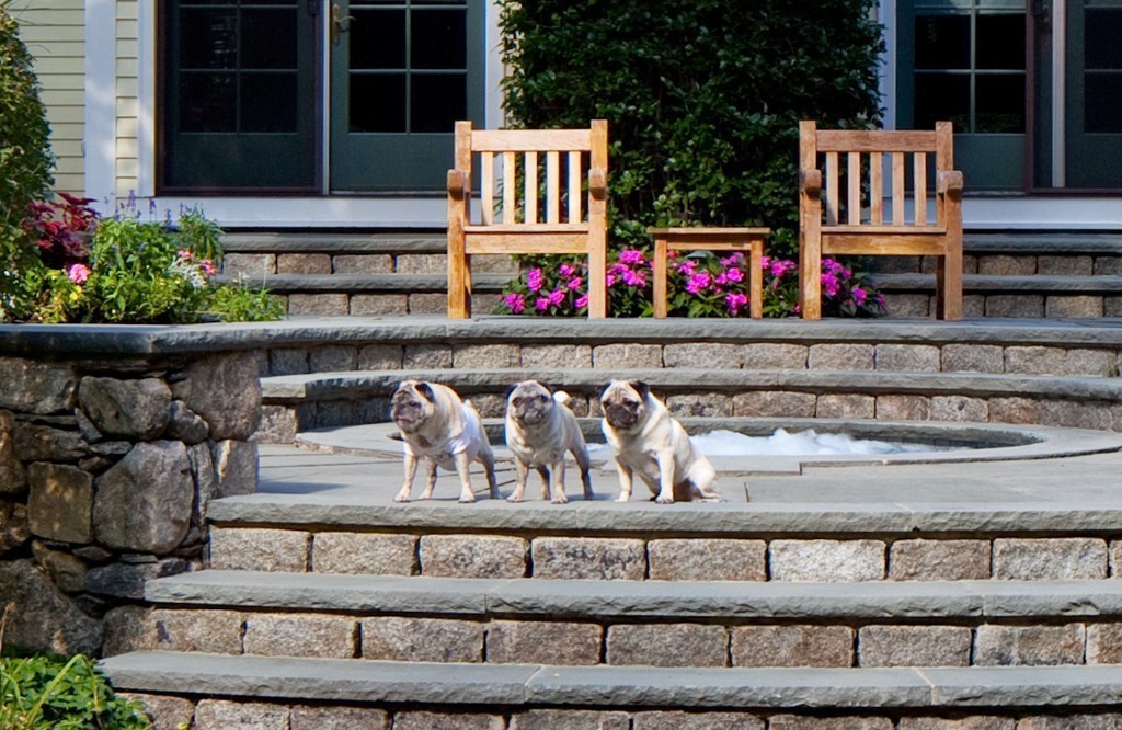 101 Plain Road Wayland, MA 01778 - Photo 20 of 28