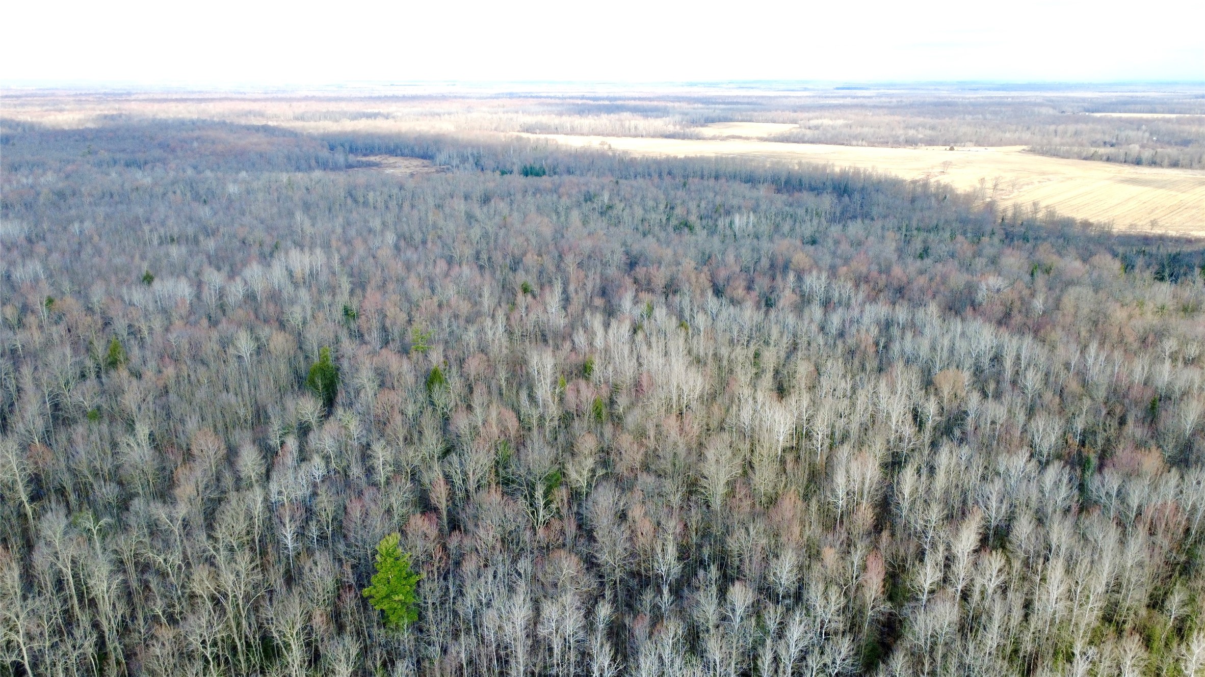 N2615 Highway 73 Sheldon, WI 54766 - Photo 14 of 26