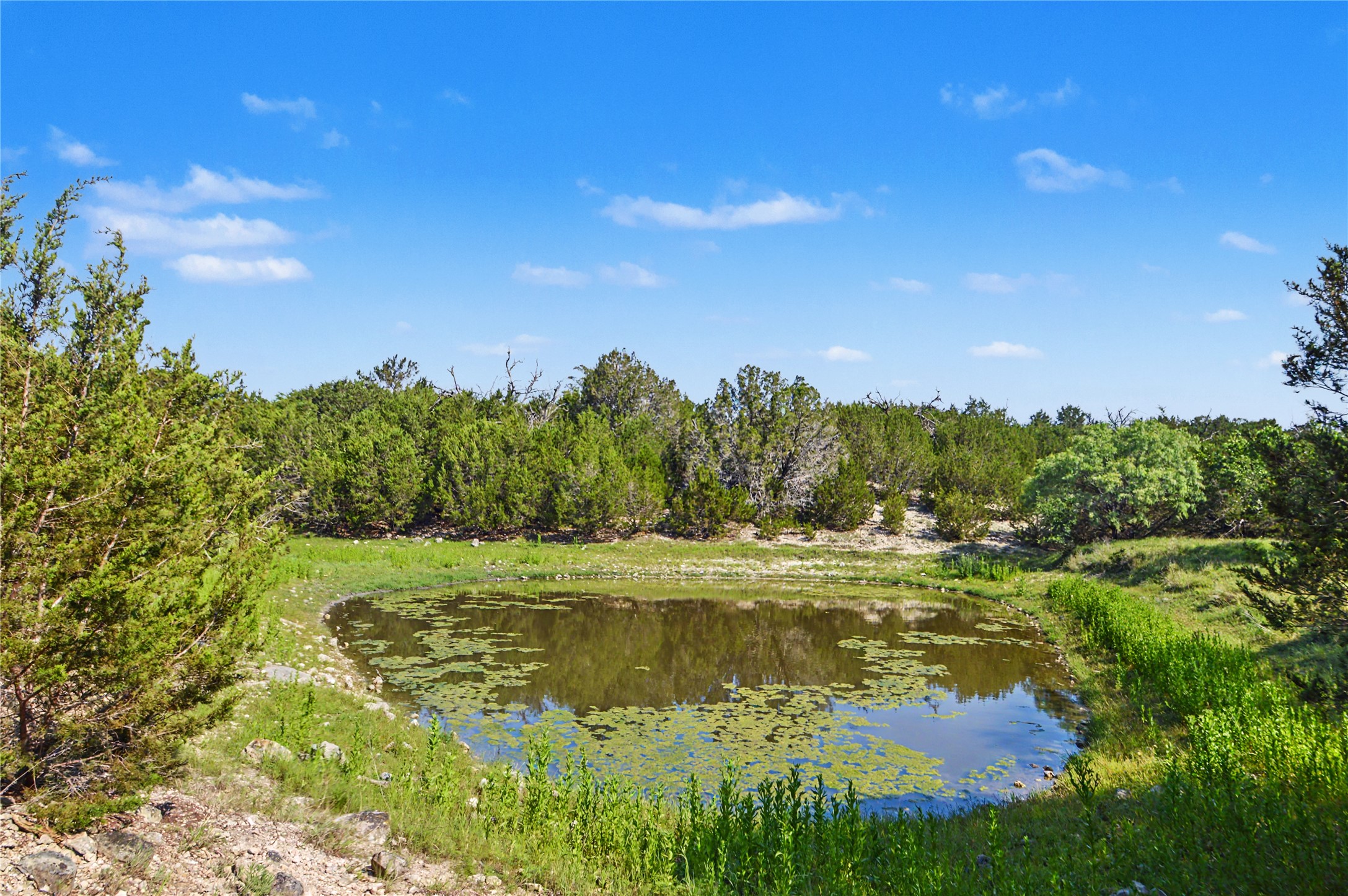 0 Cr 318 Road Goldthwaite, TX 76844 - Photo 2 of 37 a view of a lake with houses in the back