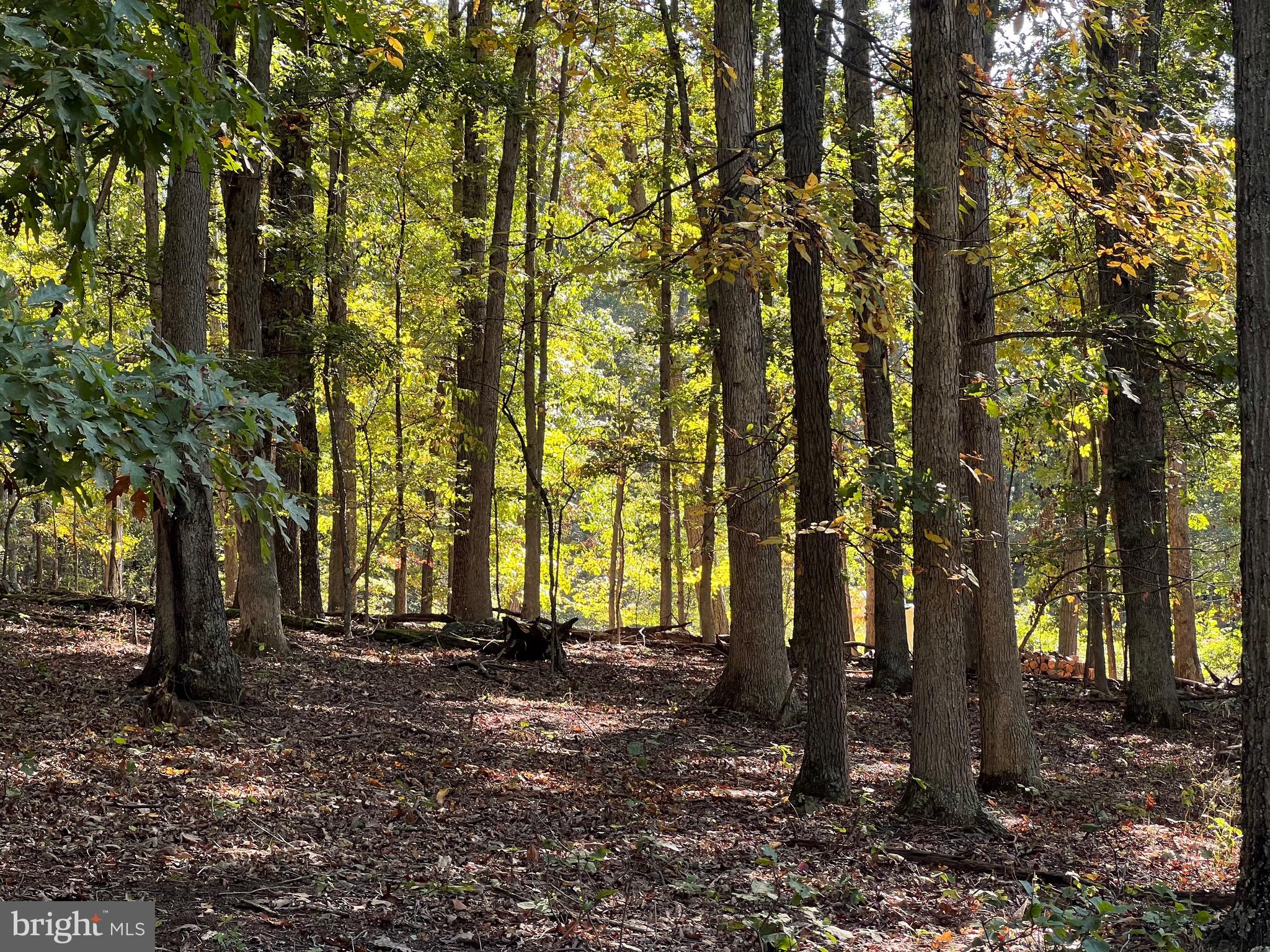 1604 High Knob Road Old Fields, WV 26845 - Photo 84 of 113
