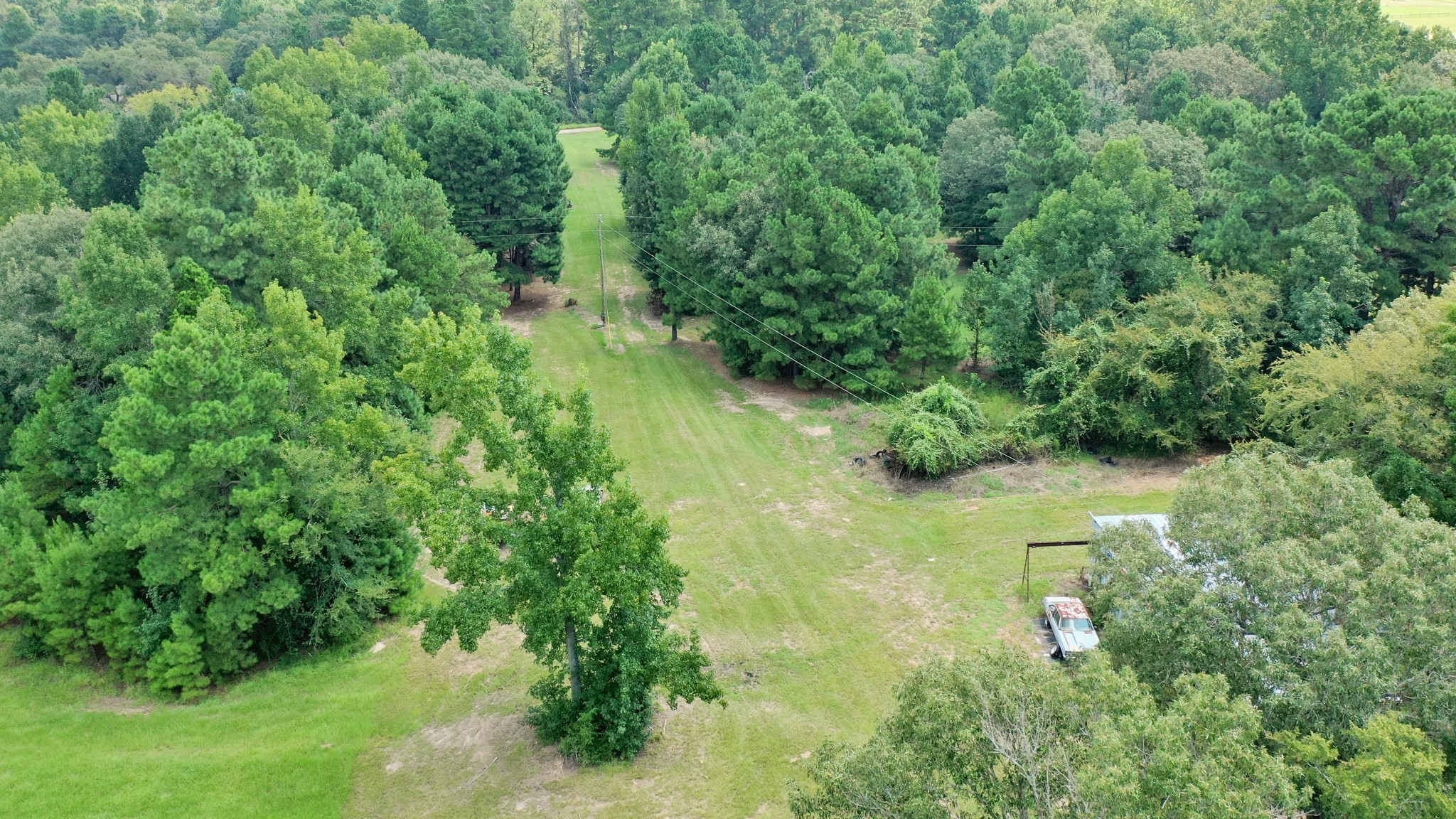 8374 Cattle Trail Road Midway, TX 75852 - Photo 10 of 16