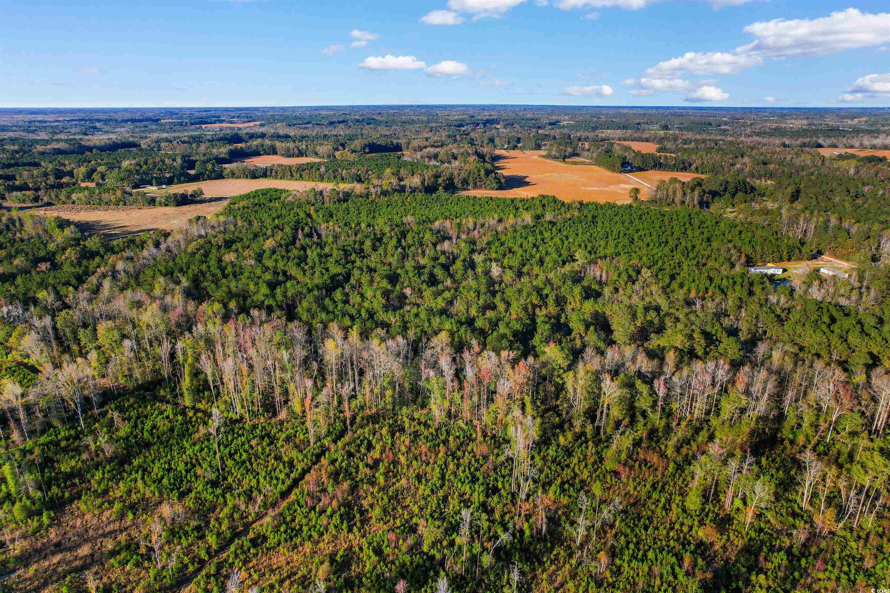 Tbd-lot 4 Oneal Road Loris, SC 29569 - Photo 7 of 13 Birds eye view of property