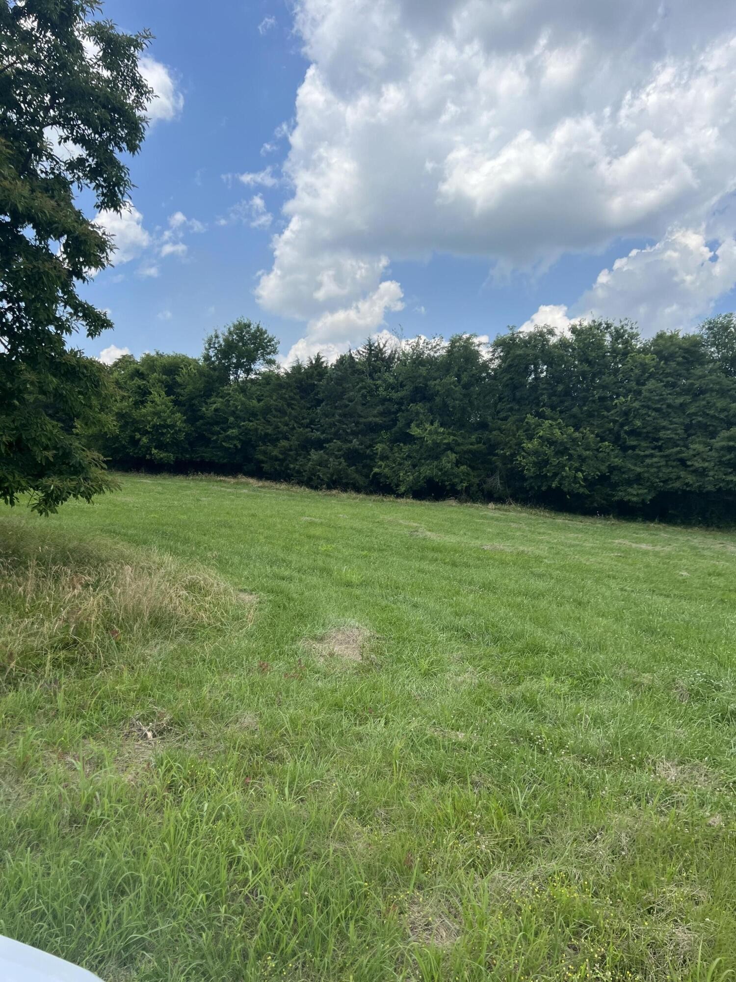 1 Valley Home Road Dandridge, TN 37725 - Photo 6 of 22 Gallery Image 6