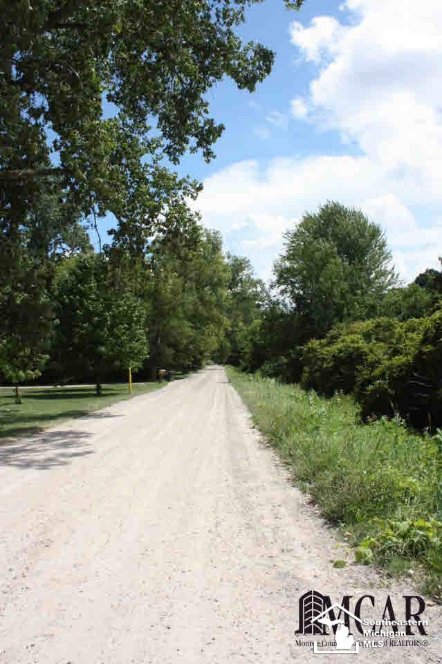 15183 West Albain Road Petersburg, MI 49270 - Photo 29 of 29 Dead end road