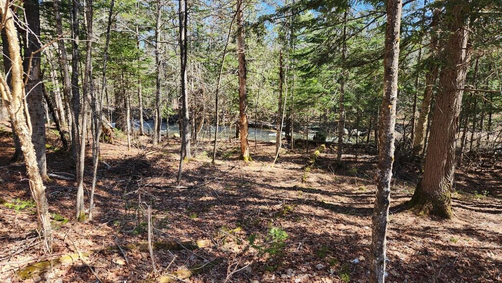 Lot 22 Weeks Mills Road New Sharon, ME 04955 - Photo 7 of 16 20240417_101350_resized_1