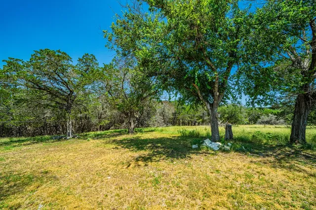 a view of a backyard with large trees