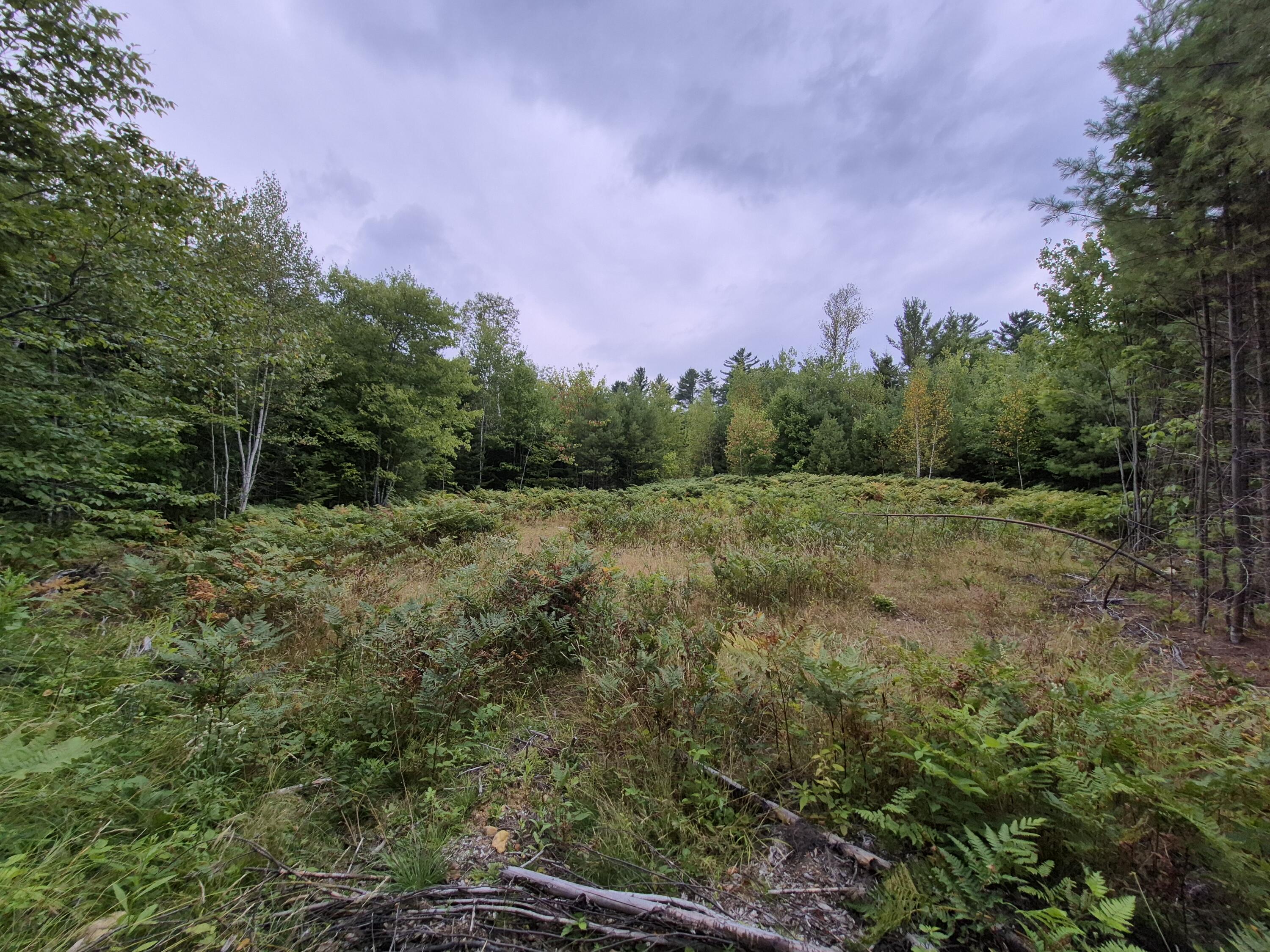 21 Mill Hill Road Hanover, ME 04237 - Photo 5 of 20 20250817_154629