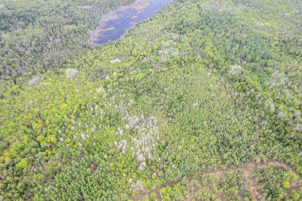 13-10 Dore Hill Road Athens, ME 04912 - Photo 11 of 47 DJI_0062