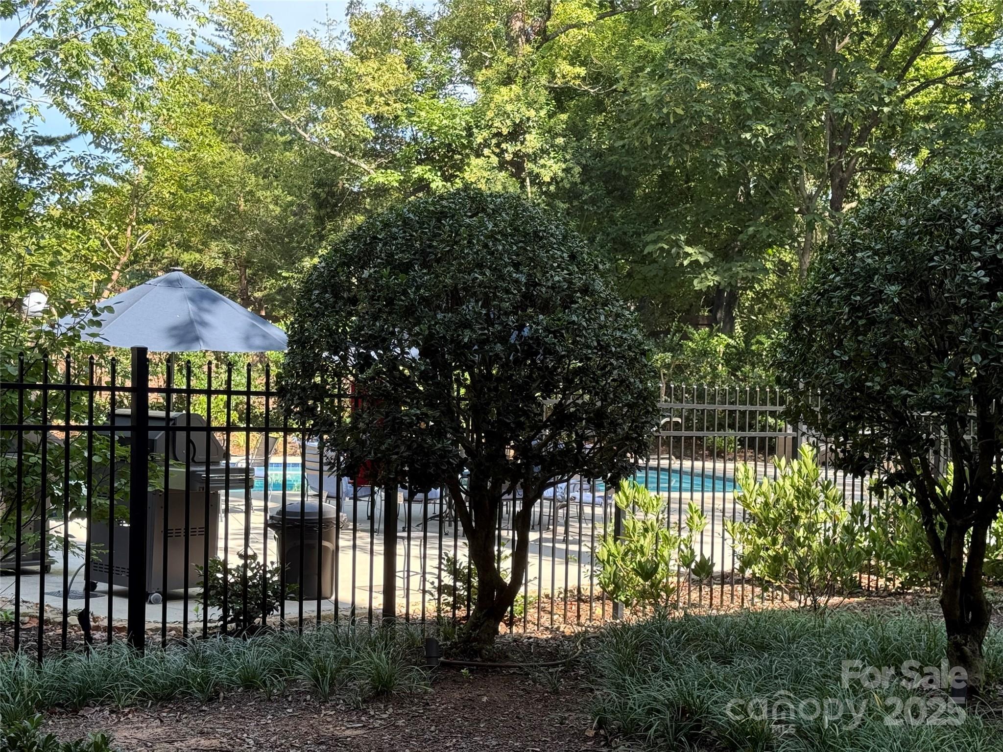 856 Cherokee Road Charlotte, NC 28207 - Photo 12 of 16 Gallery Image 12