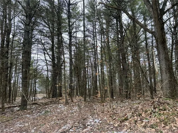 $27,500 | Whitaker Road, Hammond, NY 13646
