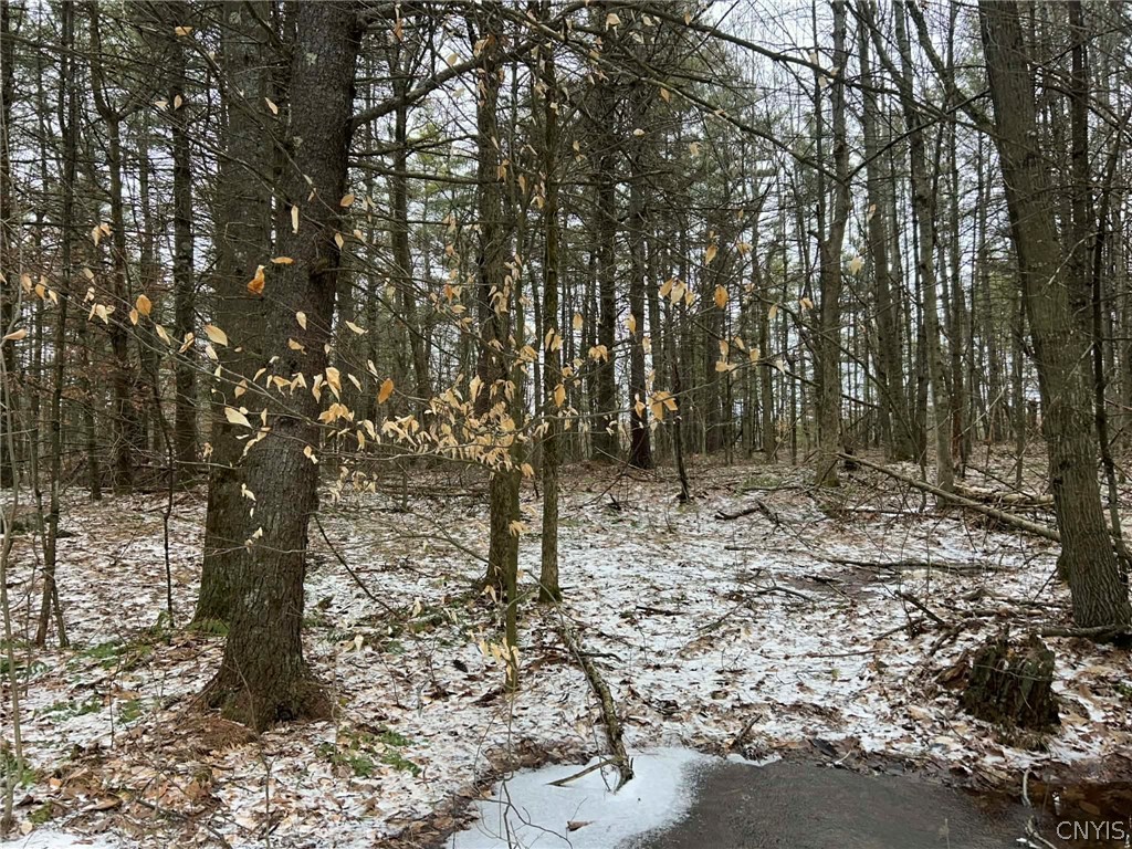 Whitaker Road Hammond, NY 13646 - Photo 2 of 9