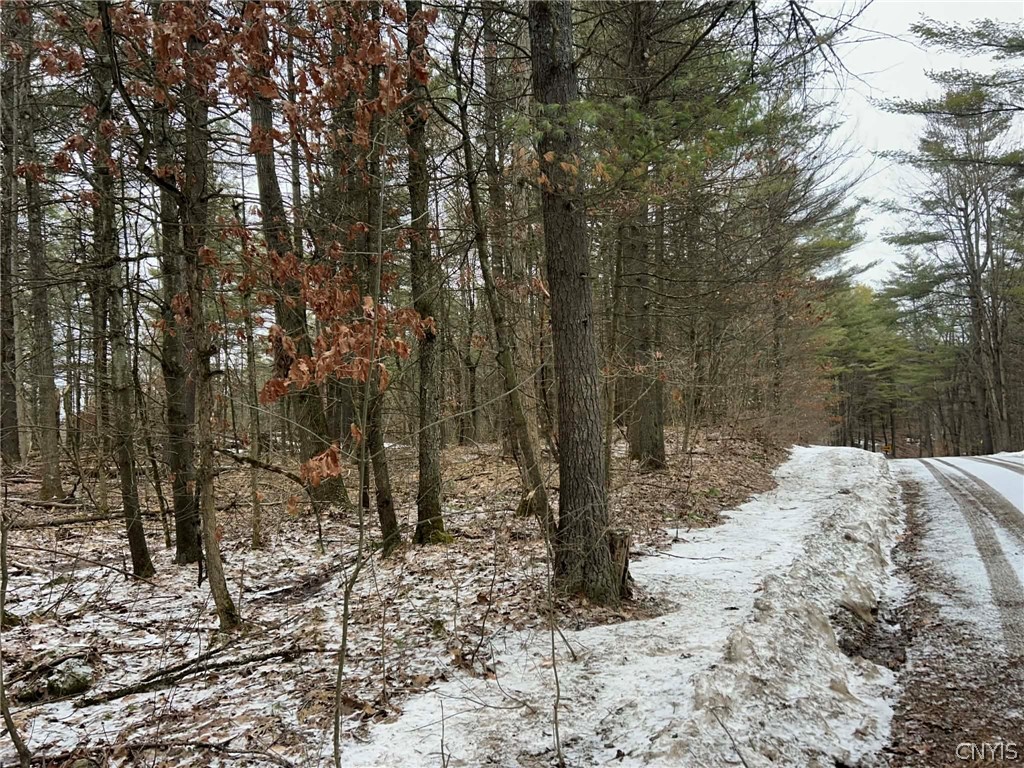 Whitaker Road Hammond, NY 13646 - Photo 3 of 9