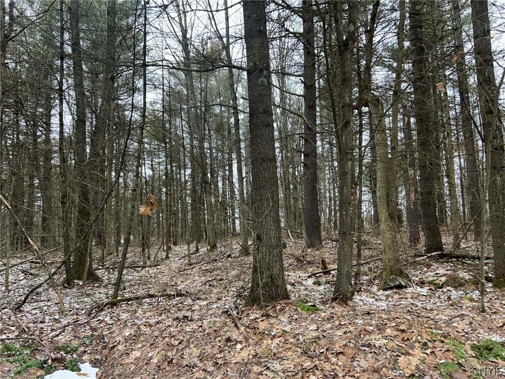 Whitaker Road Hammond, NY 13646 - Photo 5 of 9