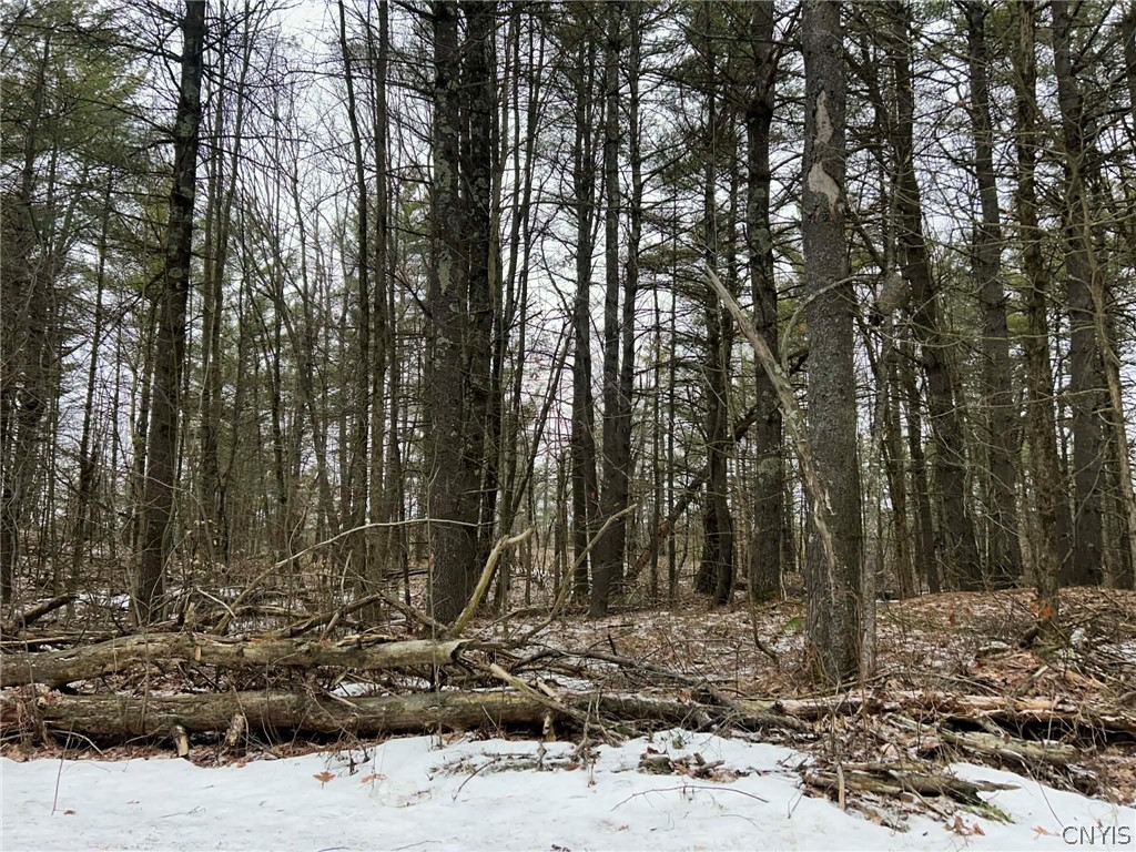 Whitaker Road Hammond, NY 13646 - Photo 6 of 9