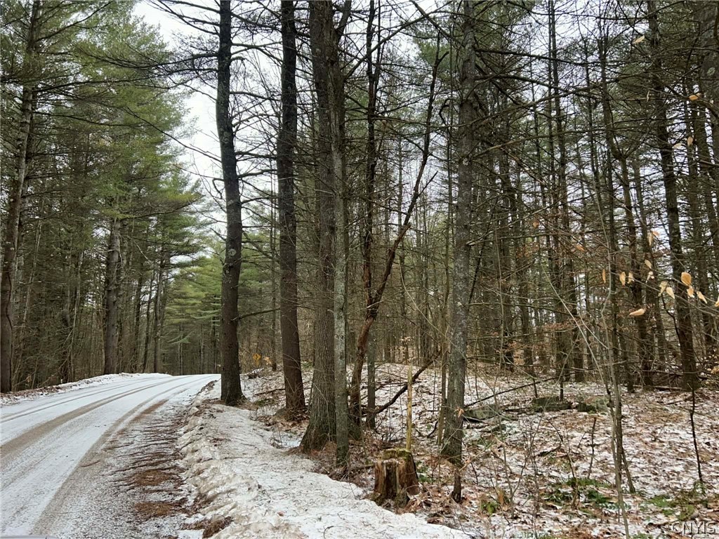 Whitaker Road Hammond, NY 13646 - Photo 8 of 9