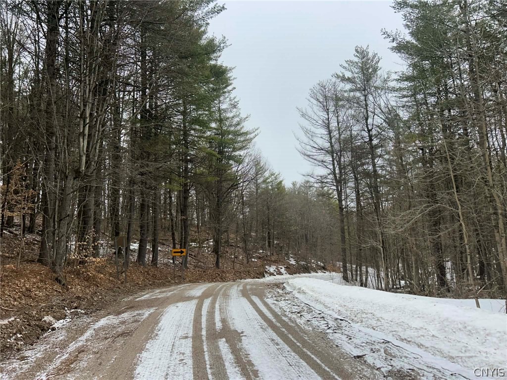 Whitaker Road Hammond, NY 13646 - Photo 9 of 9