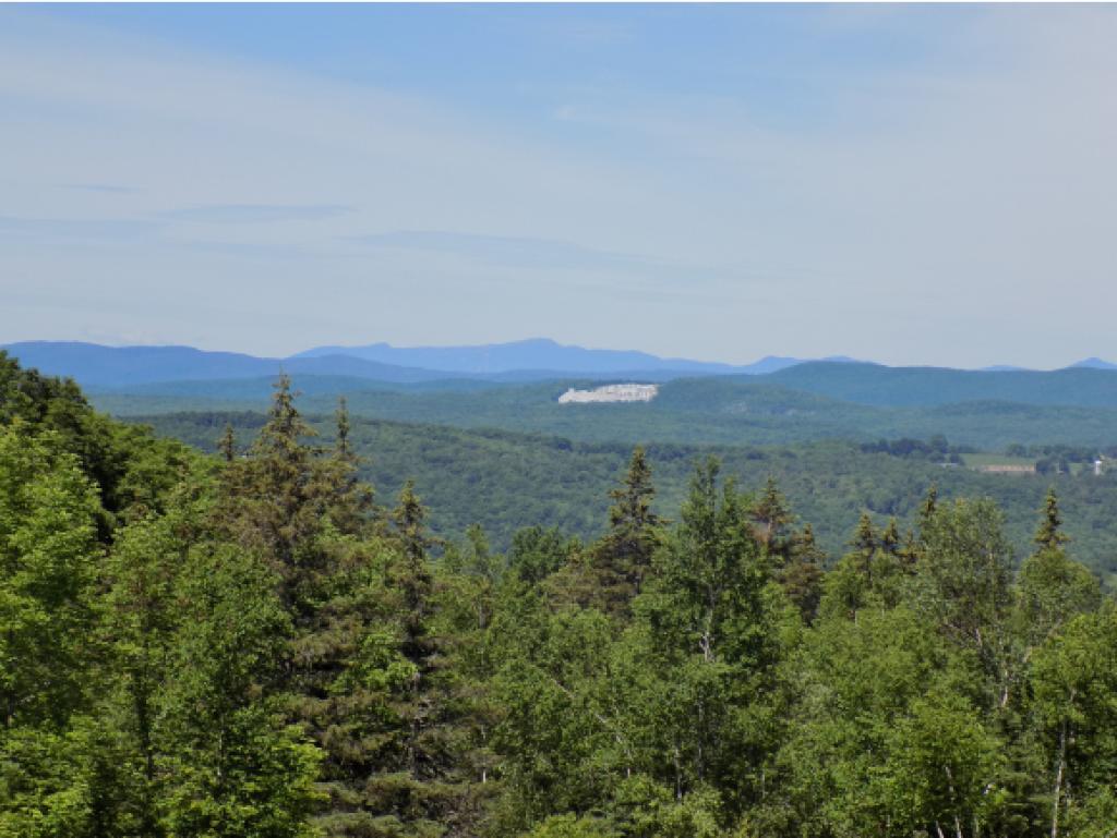 1124 Dubray Road Cabot, VT 05647 - Photo 3 of 11