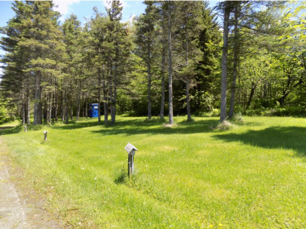 1124 Dubray Road Cabot, VT 05647 - Photo 6 of 11