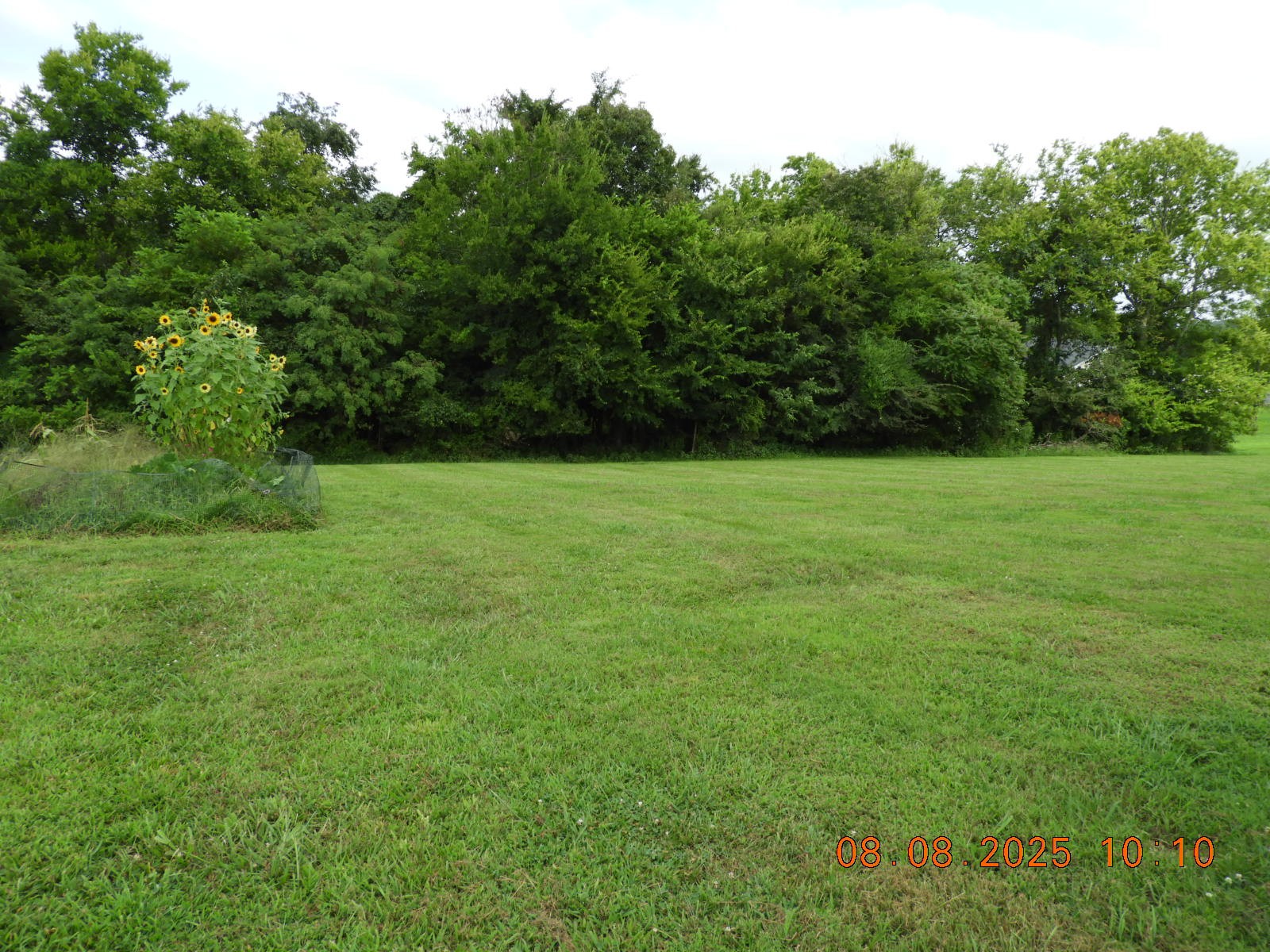 202 Desperado Avenue Pulaski, TN 38478 - Photo 14 of 35 a view of a field with trees in the background