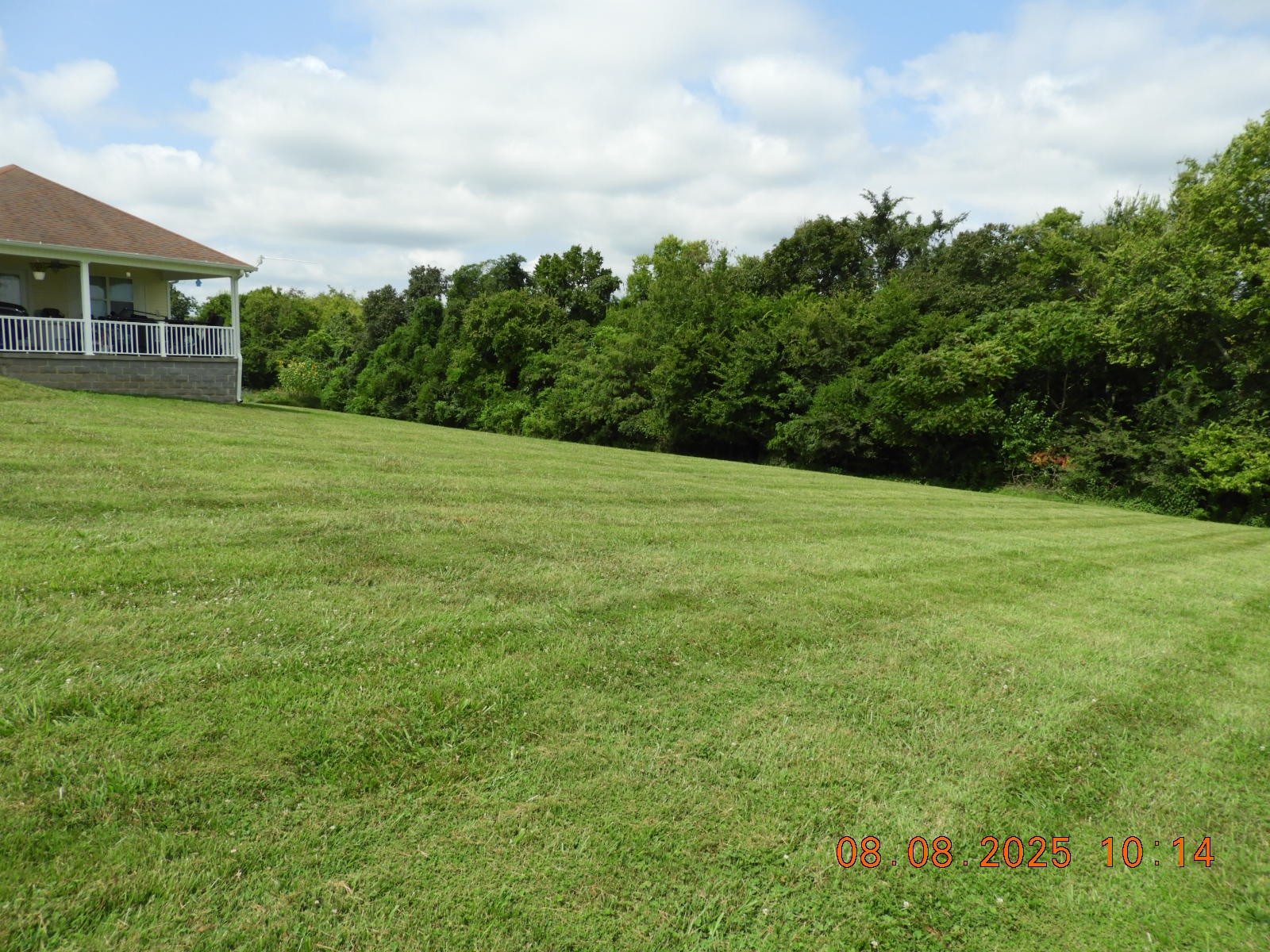 202 Desperado Avenue Pulaski, TN 38478 - Photo 15 of 35 a view of a field of grass and trees