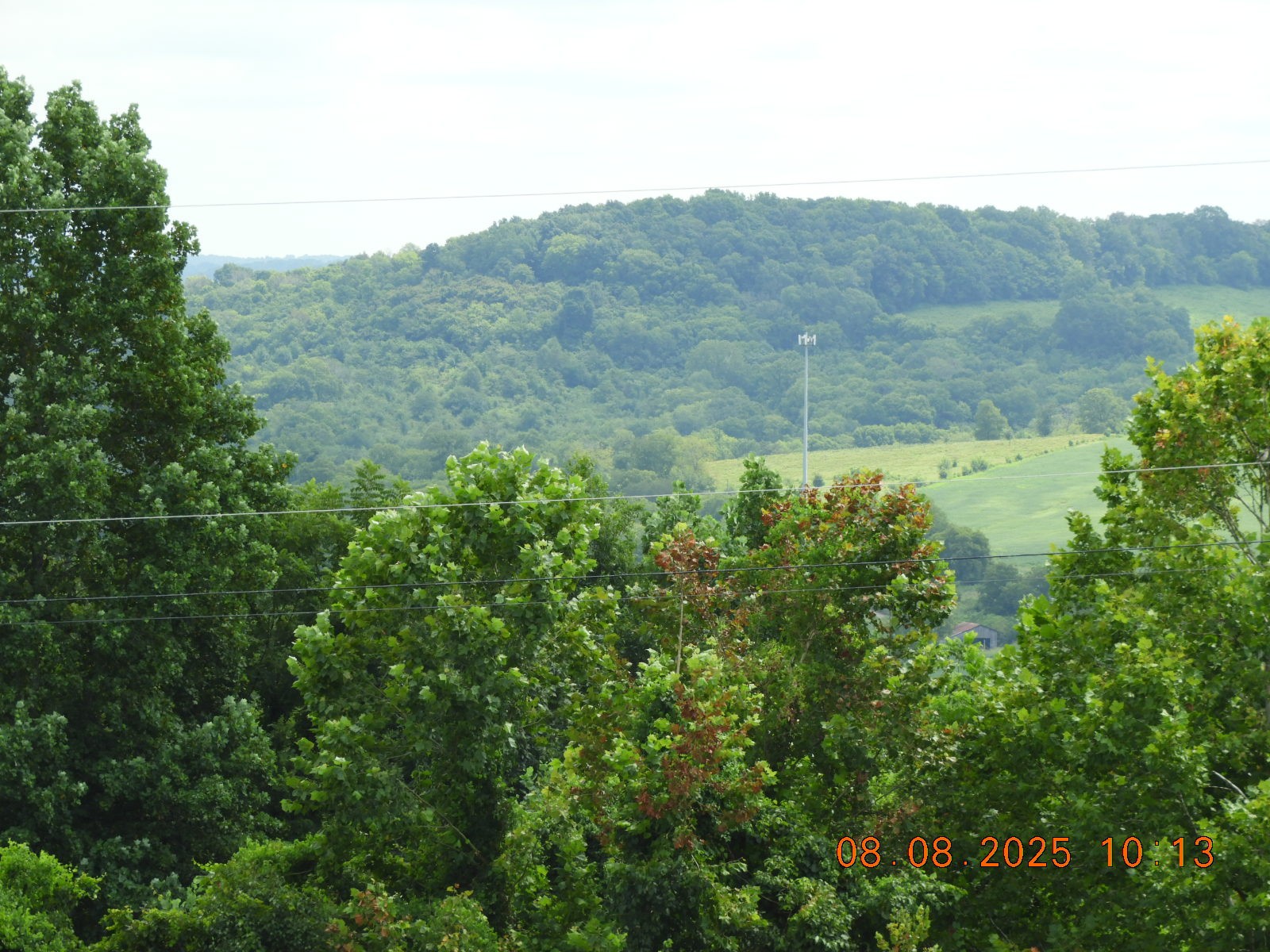 202 Desperado Avenue Pulaski, TN 38478 - Photo 33 of 35 a view of a lush green forest with trees in the background
