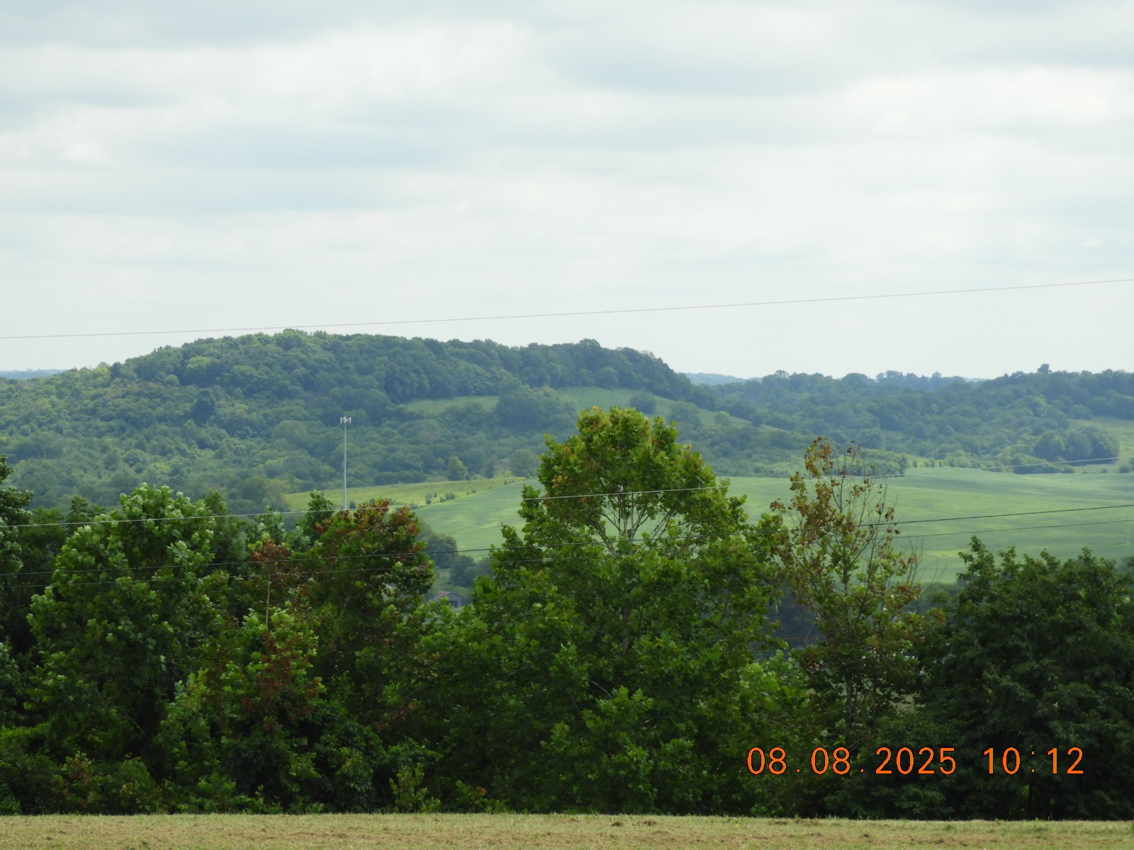 202 Desperado Avenue Pulaski, TN 38478 - Photo 35 of 35 a view of a lush green field with mountains in the background