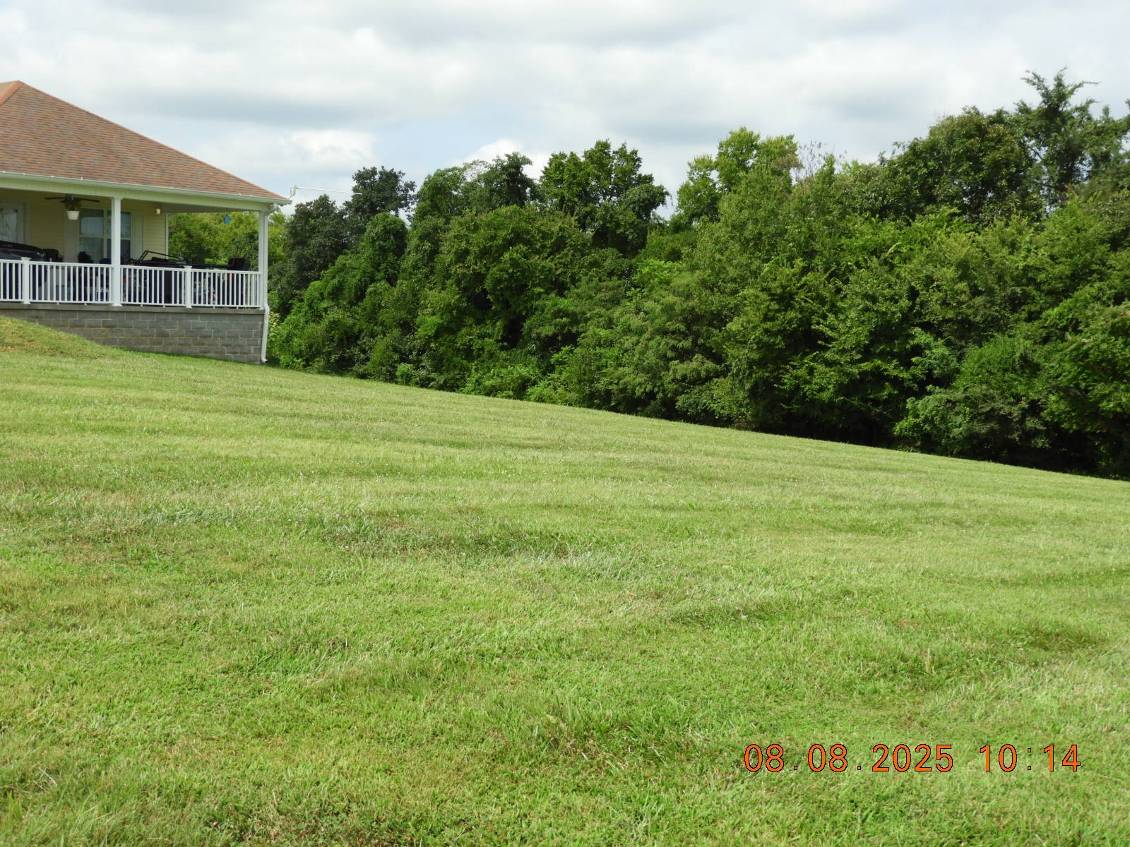 202 Desperado Avenue Pulaski, TN 38478 - Photo 4 of 35 a view of a big yard with grass and plants