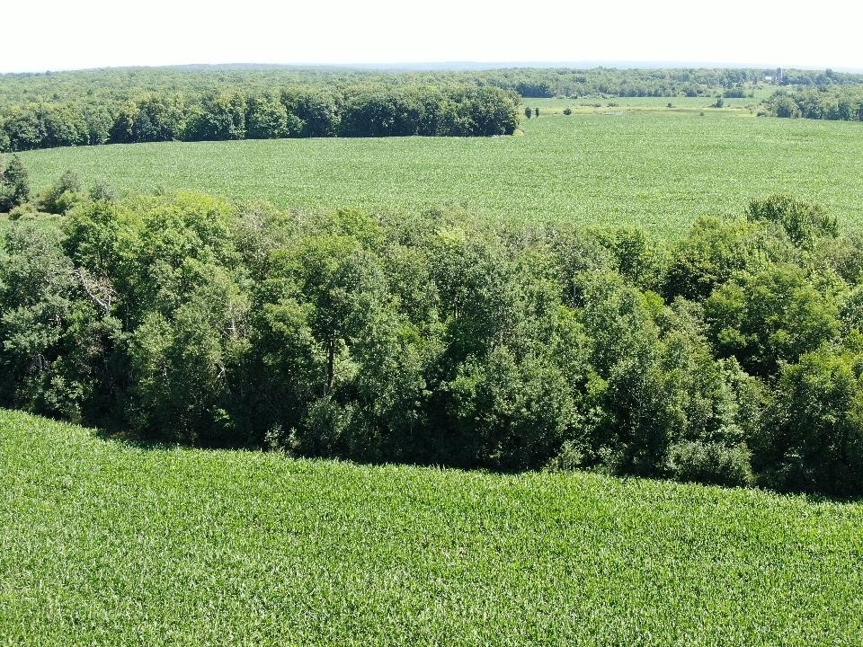 X 110th Street Frederic, WI 54837 - Photo 5 of 11
