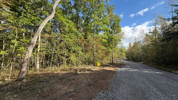 $86,500 | 0 Owl Hollow Road, Unit LOT 3, Palmer, TN 37365