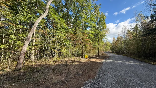 $86,500 | 0 Owl Hollow Road, Unit LOT 3, Palmer, TN 37365