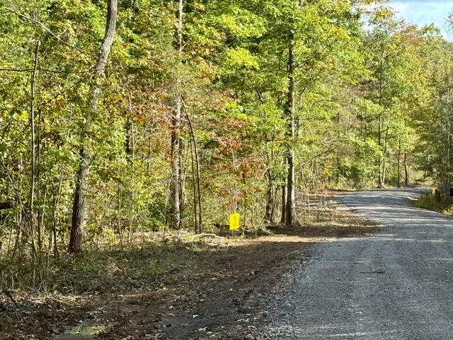 $86,500 | 0 Owl Hollow Road, Unit LOT 3, Palmer, TN 37365