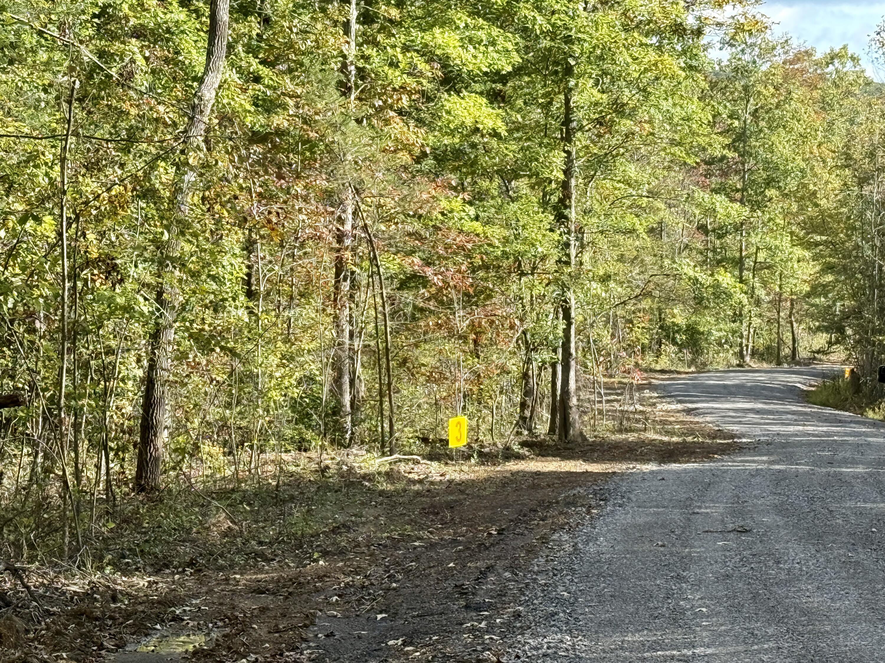 0 Owl Hollow Road, Unit LOT 3 Palmer, TN 37365 - Photo 11 of 19 IMG_2660