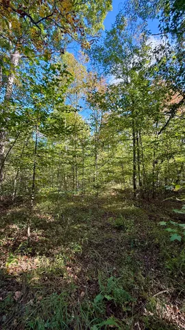 $86,500 | 0 Owl Hollow Road, Unit LOT 3, Palmer, TN 37365